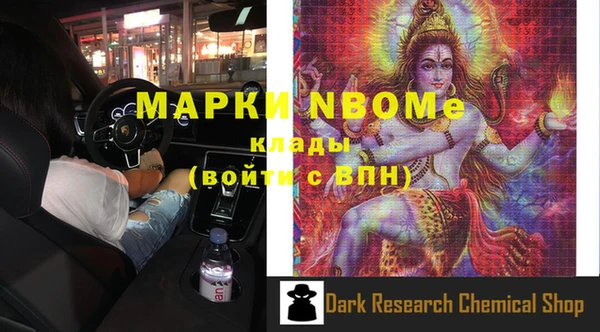 шишки Покачи