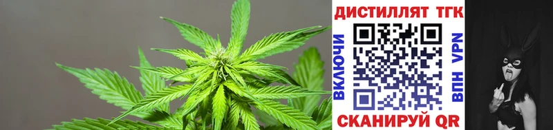 Дистиллят ТГК жижа Купить Приволжский