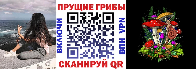 Купить где  Приволжский  Псилоцибиновые грибы MAGIC MUSHROOMS 